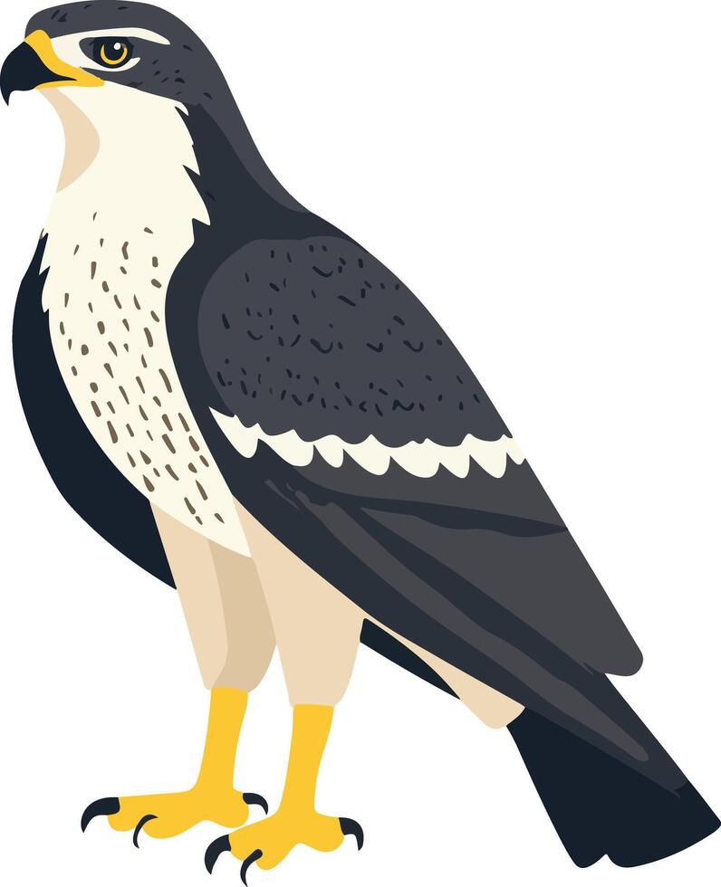 cute simple hawk clipart vector