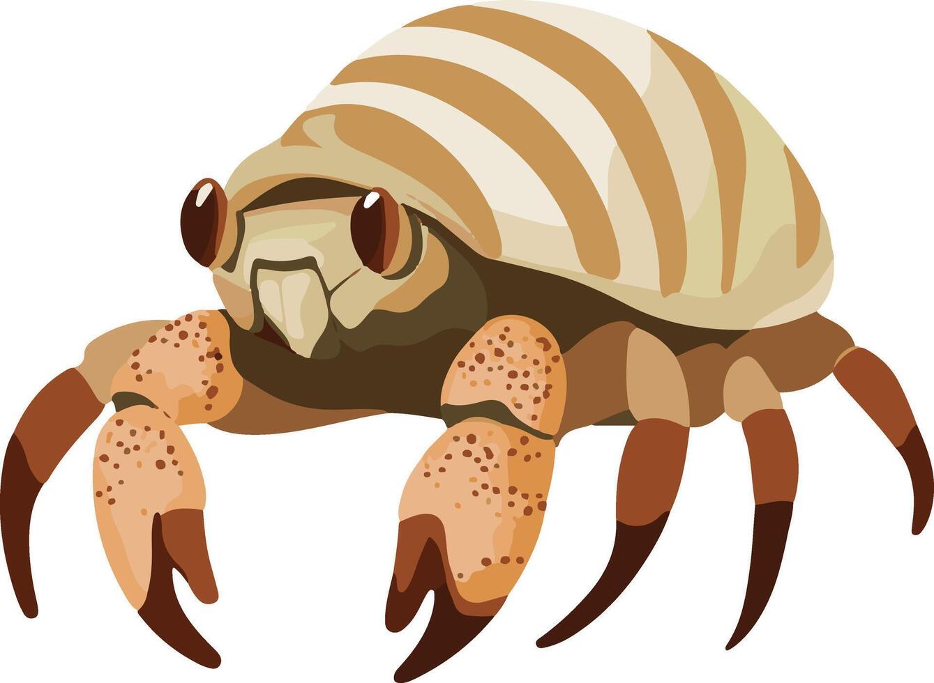cute simple hermit crab clipart vector