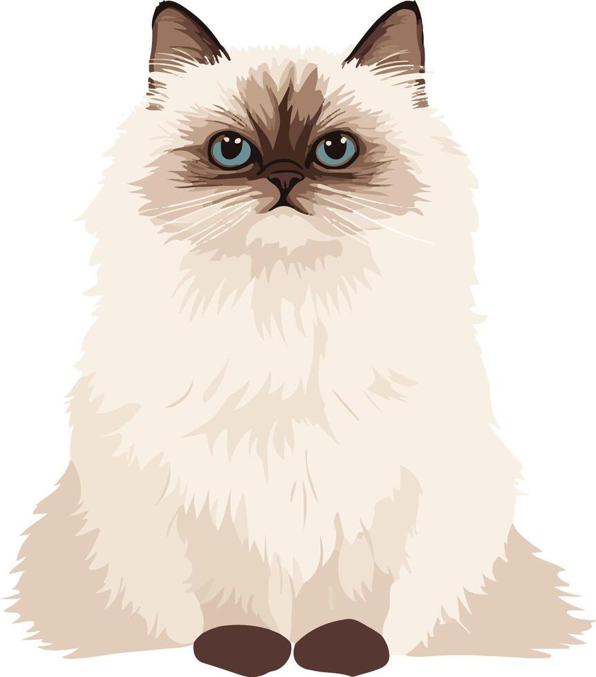sweet cute simple Himalayan Colorpoint Persian clipart vector