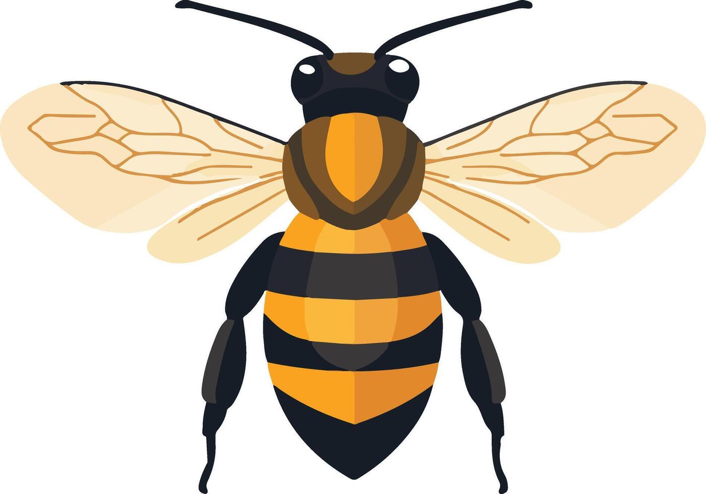 adorable cute simple honey bee clipart vector