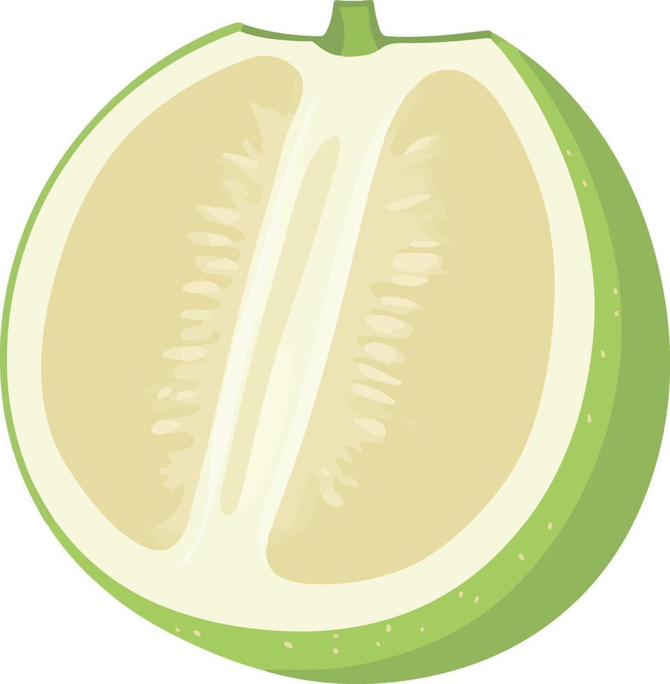 cute simple honeydew clipart vector