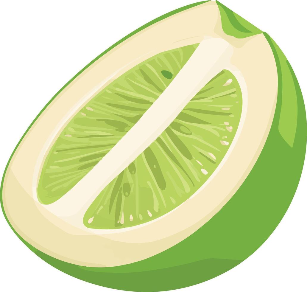 adorable cute simple honeydew clipart vector