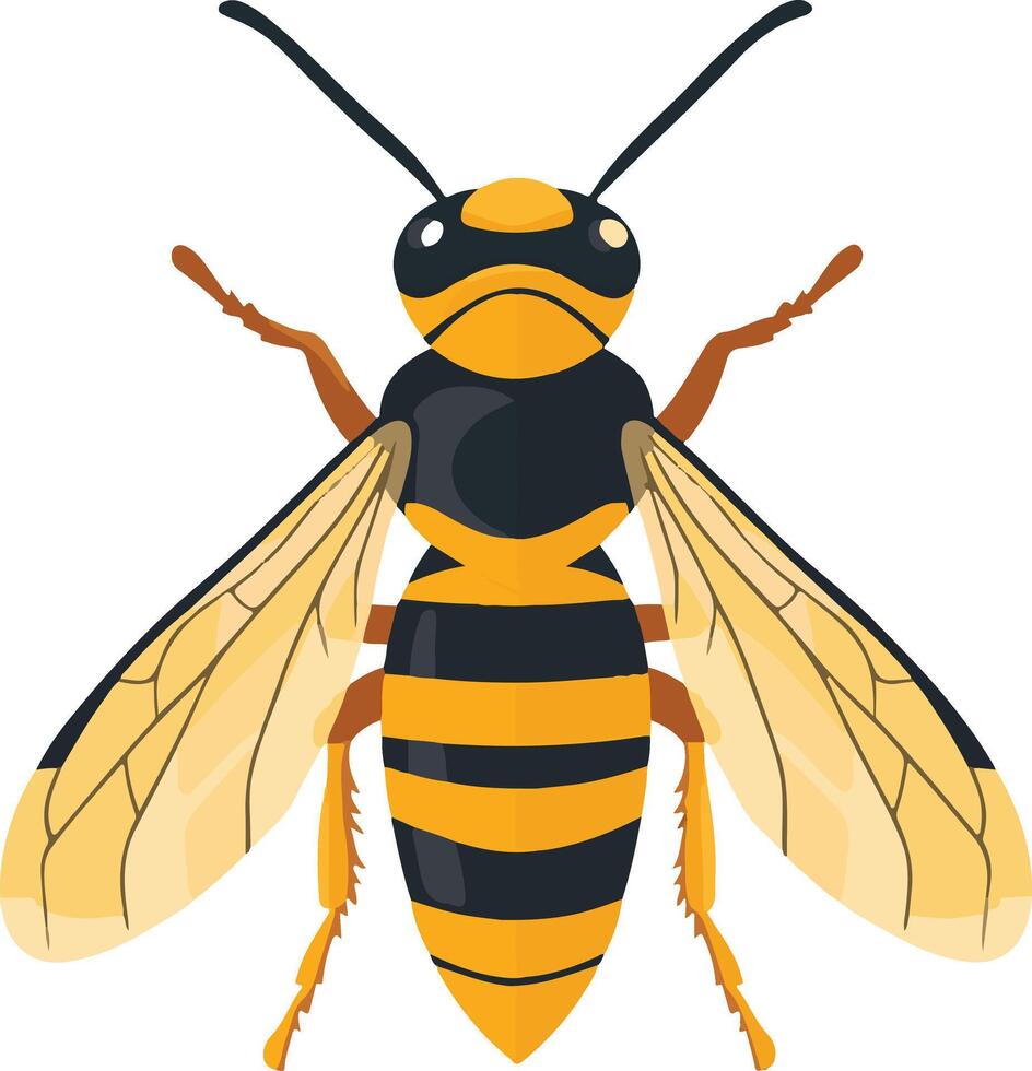 cute simple hornet clipart vector