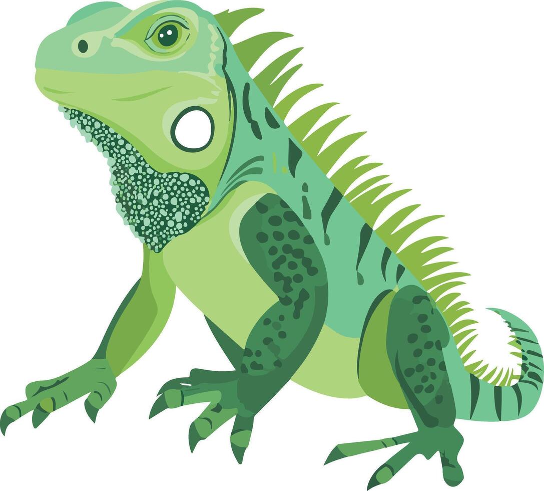 cute simple iguana clipart vector