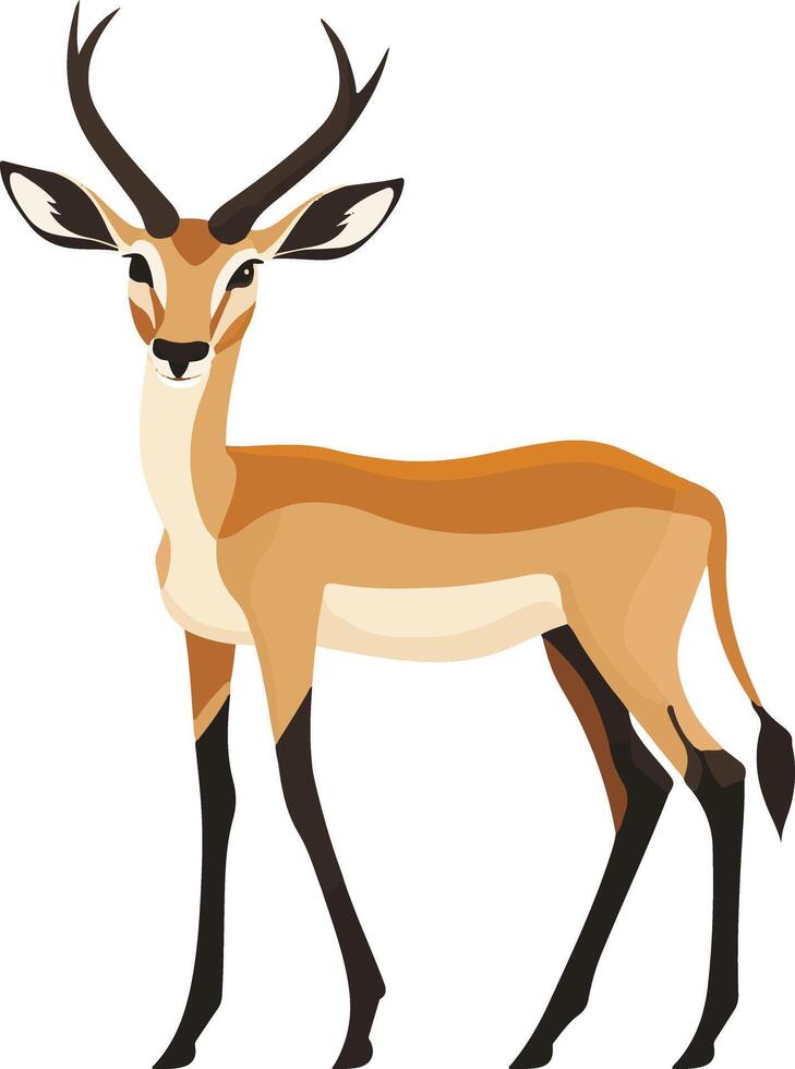 cute simple impala clipart vector