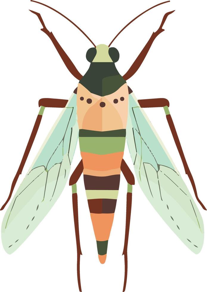 cute simple insect clipart vector