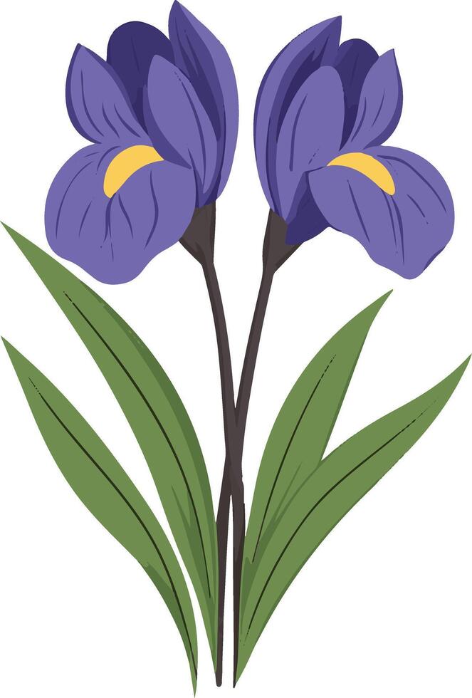 adorable cute simple iris clipart vector
