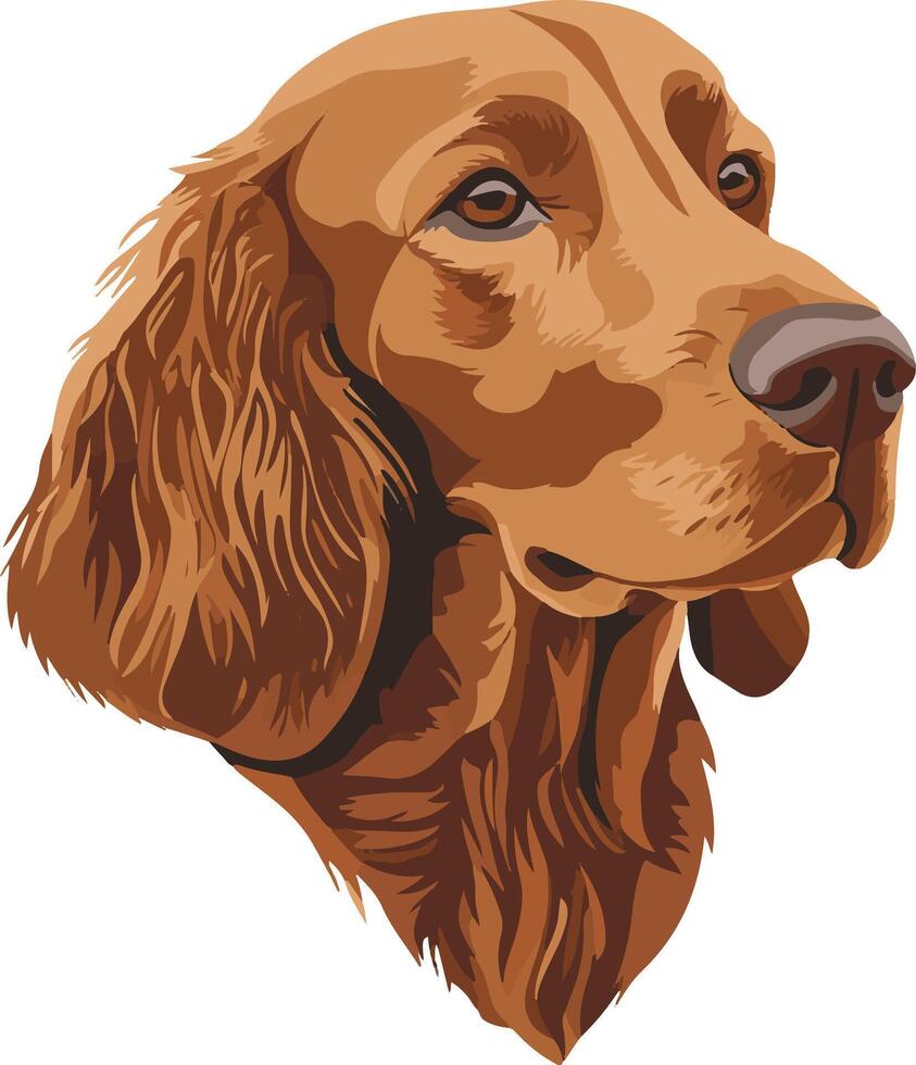 cute simple Irish Setter clipart vector