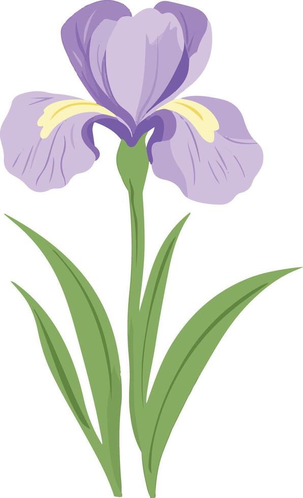 cute simple iris clipart vector