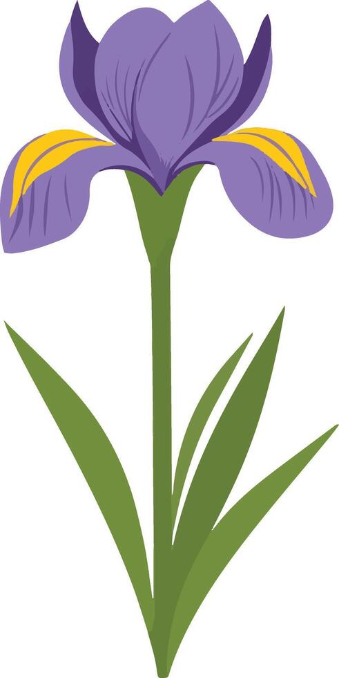lovely cute simple iris clipart vector