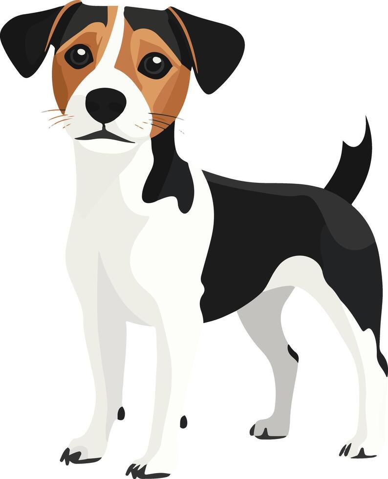 cute simple Jack Russell Terrier clipart vector