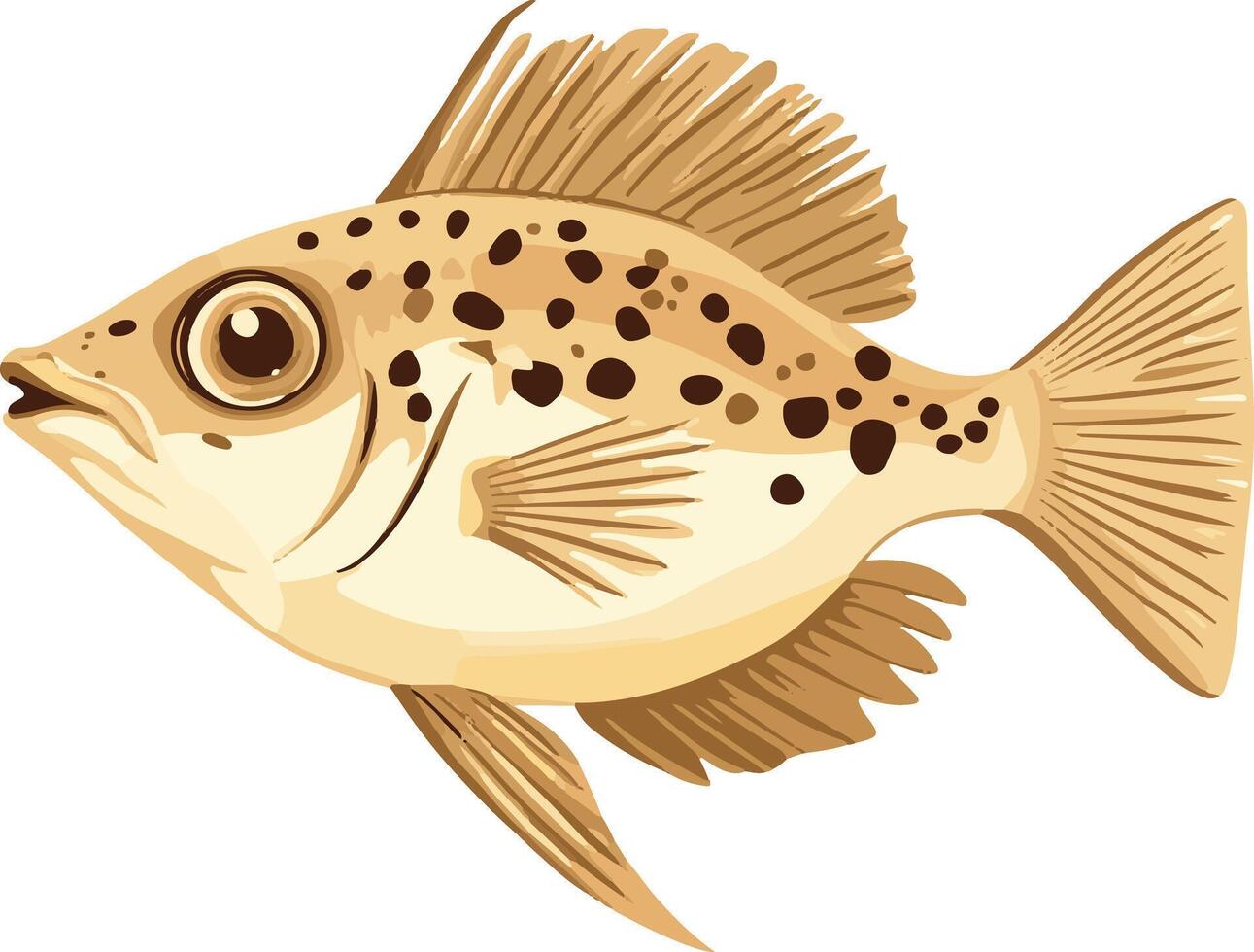 cute simple John Dory clipart vector