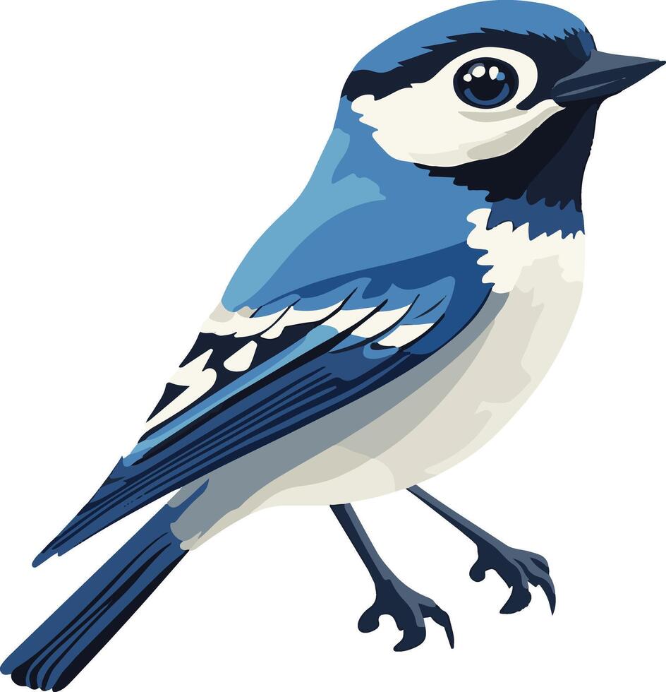 cute simple jay clipart vector