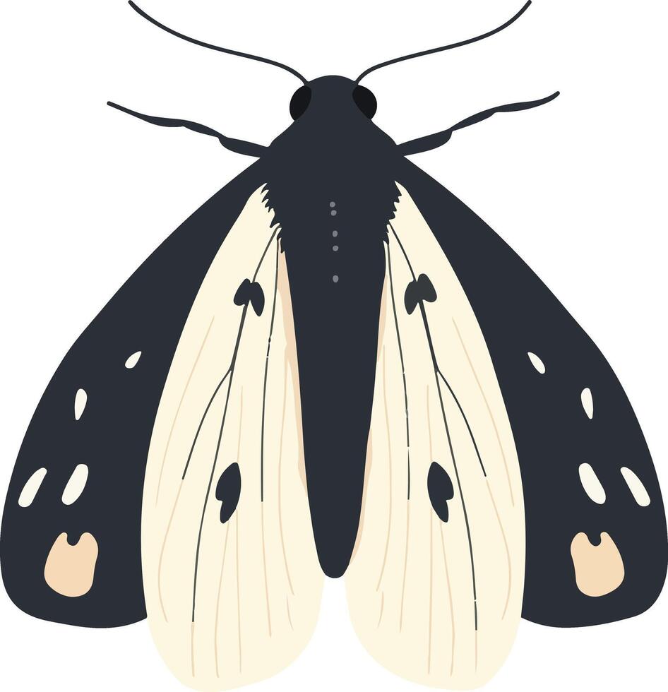 cute simple jumping bean moth clipart vector