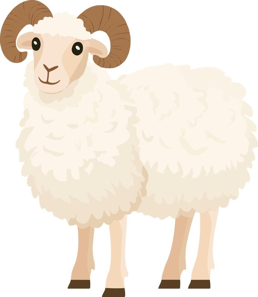 cute simple karakul clipart vector