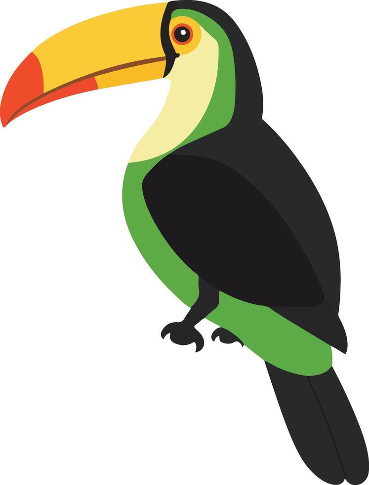 adorable cute simple keel billed toucan clipart vector