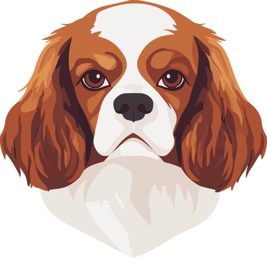 cute simple King Charles Spaniel clipart vector