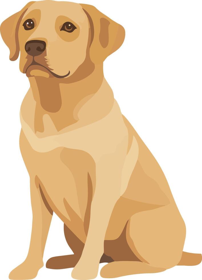 cute simple Labrador Retriever clipart vector