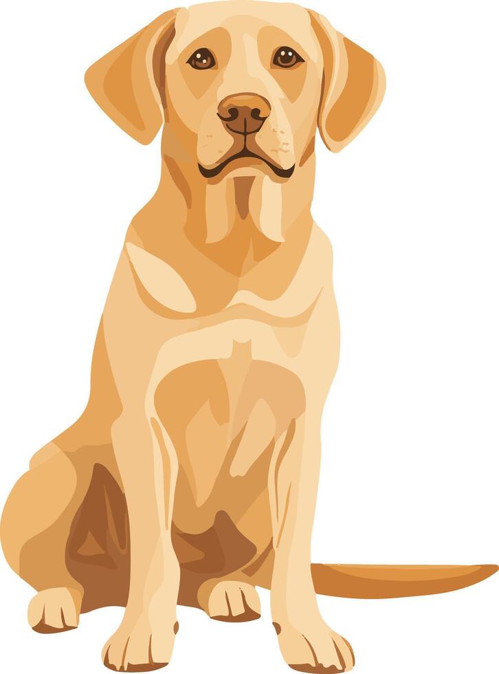 cute simple Labrador retriever clipart vector