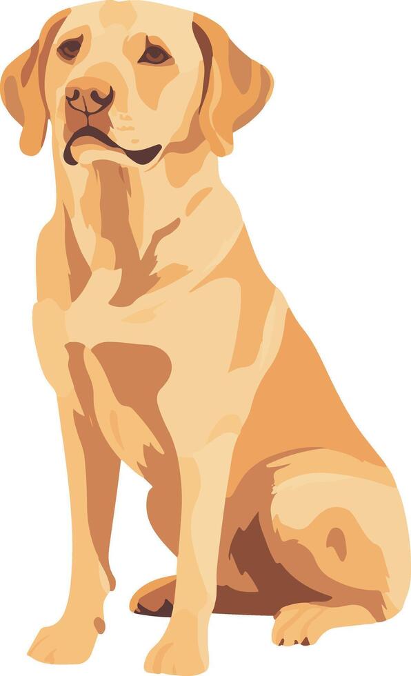 adorable cute simple Labrador retriever clipart vector