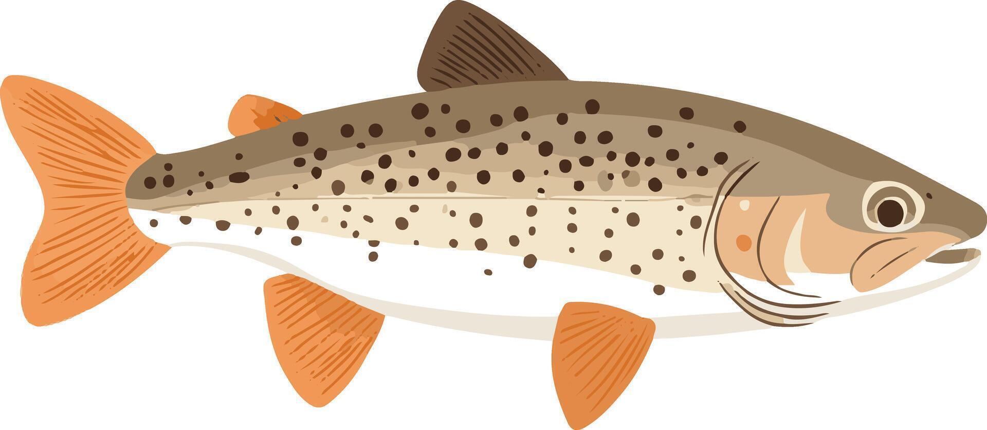 adorable cute simple lake trout clipart vector