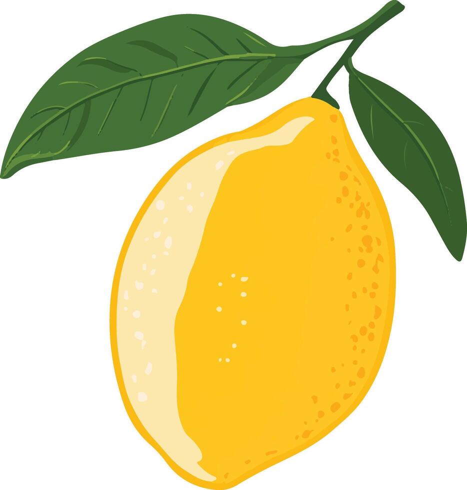 adorable cute simple lemon clipart vector