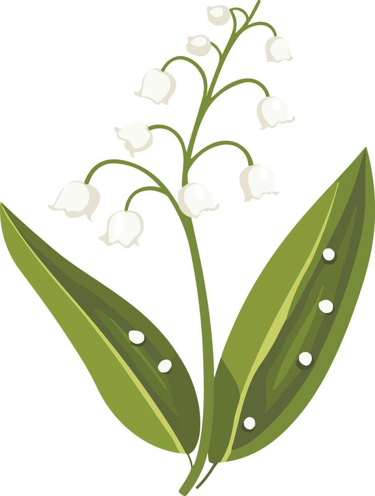 cute simple lily of the valley clipart vector