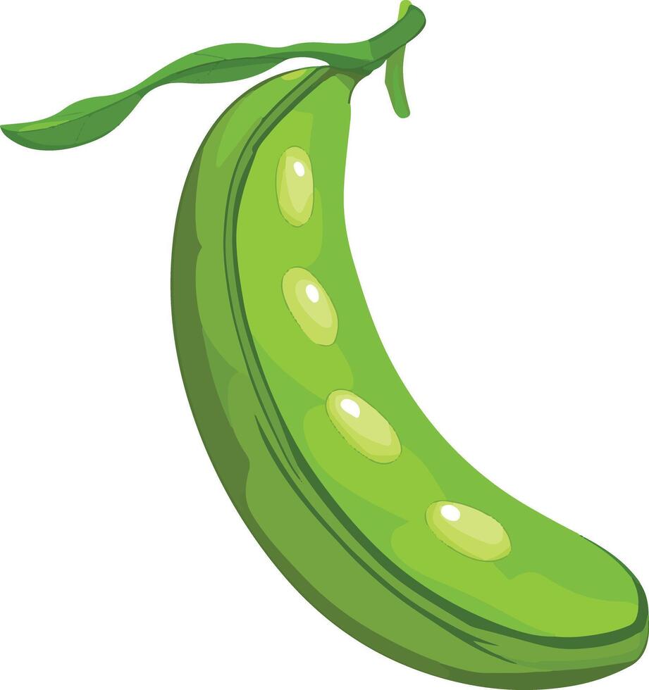 adorable cute simple lima bean clipart vector
