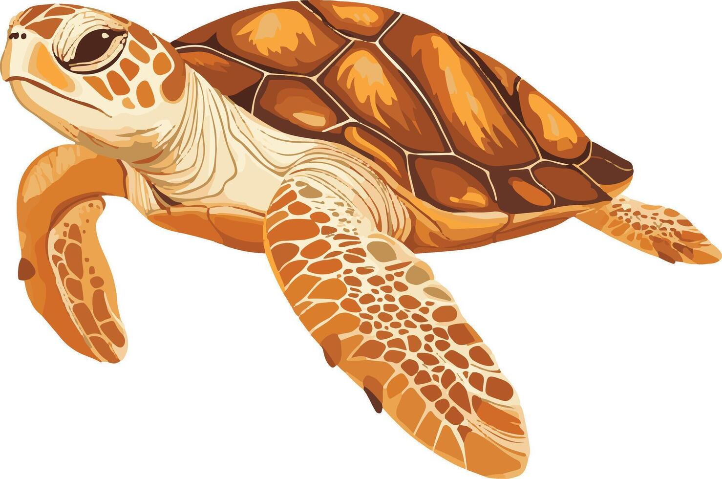 adorable cute simple loggerhead turtle clipart vector