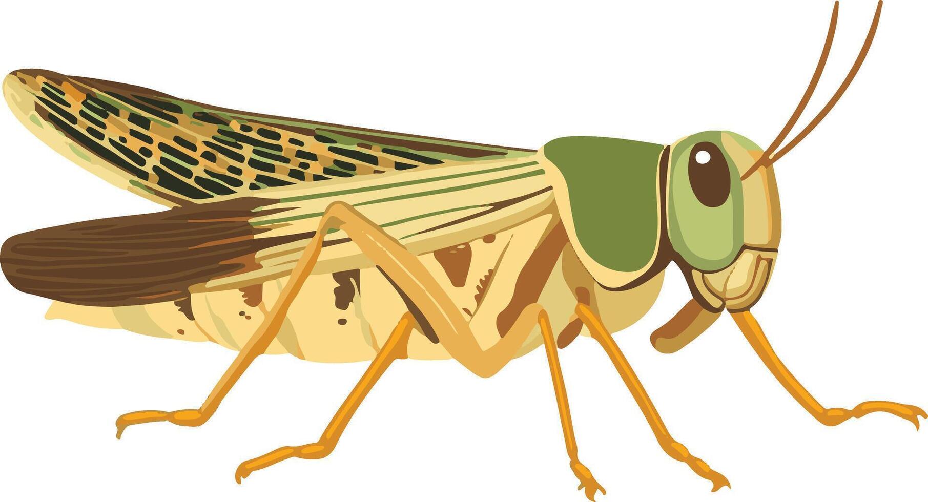 adorable cute simple locust clipart vector