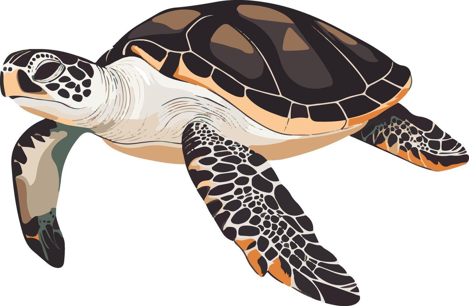 lovely cute simple loggerhead turtle clipart vector