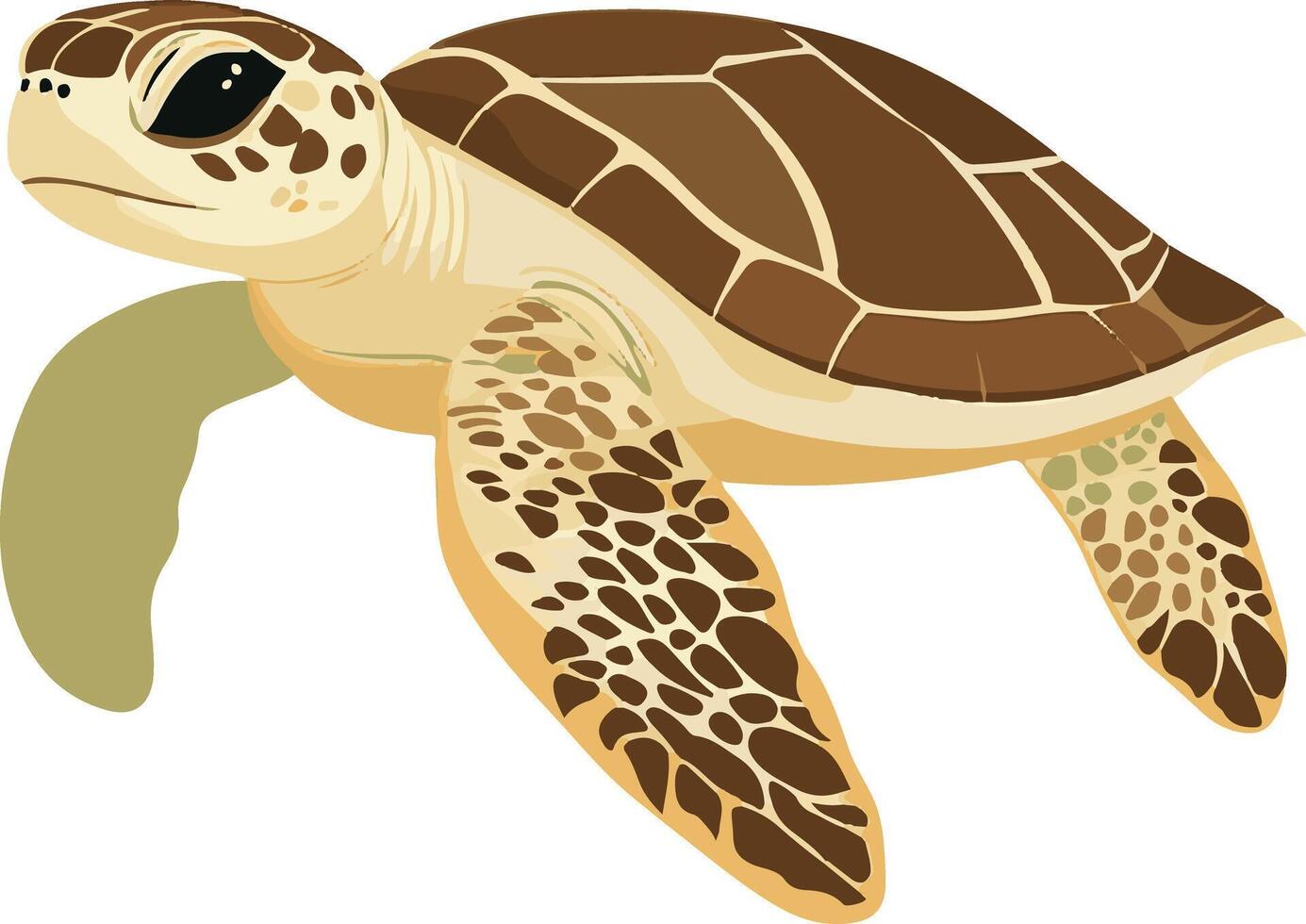 cute simple loggerhead turtle clipart vector