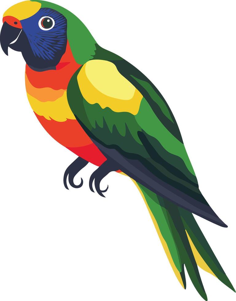 adorable cute simple lorikeet clipart vector