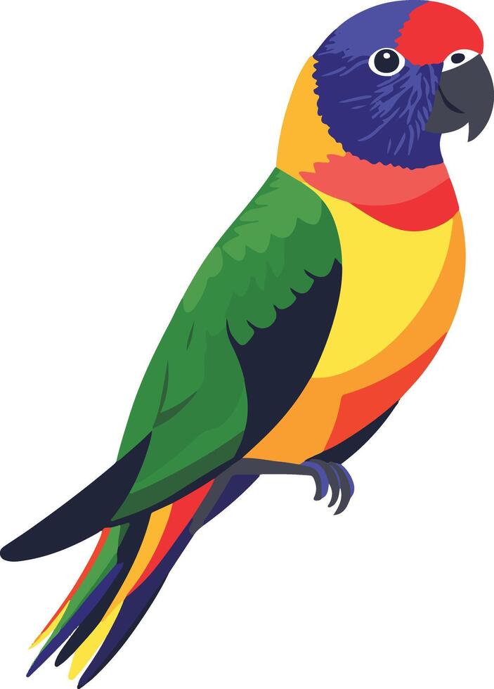 sweet cute simple lorikeet clipart vector