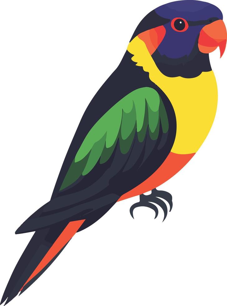 lovely cute simple lorikeet clipart vector