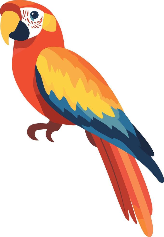 adorable cute simple macaw clipart vector