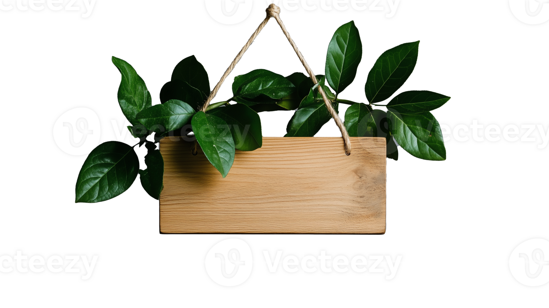 Wooden hanging planter with green leafy plants isolated on transparent background png