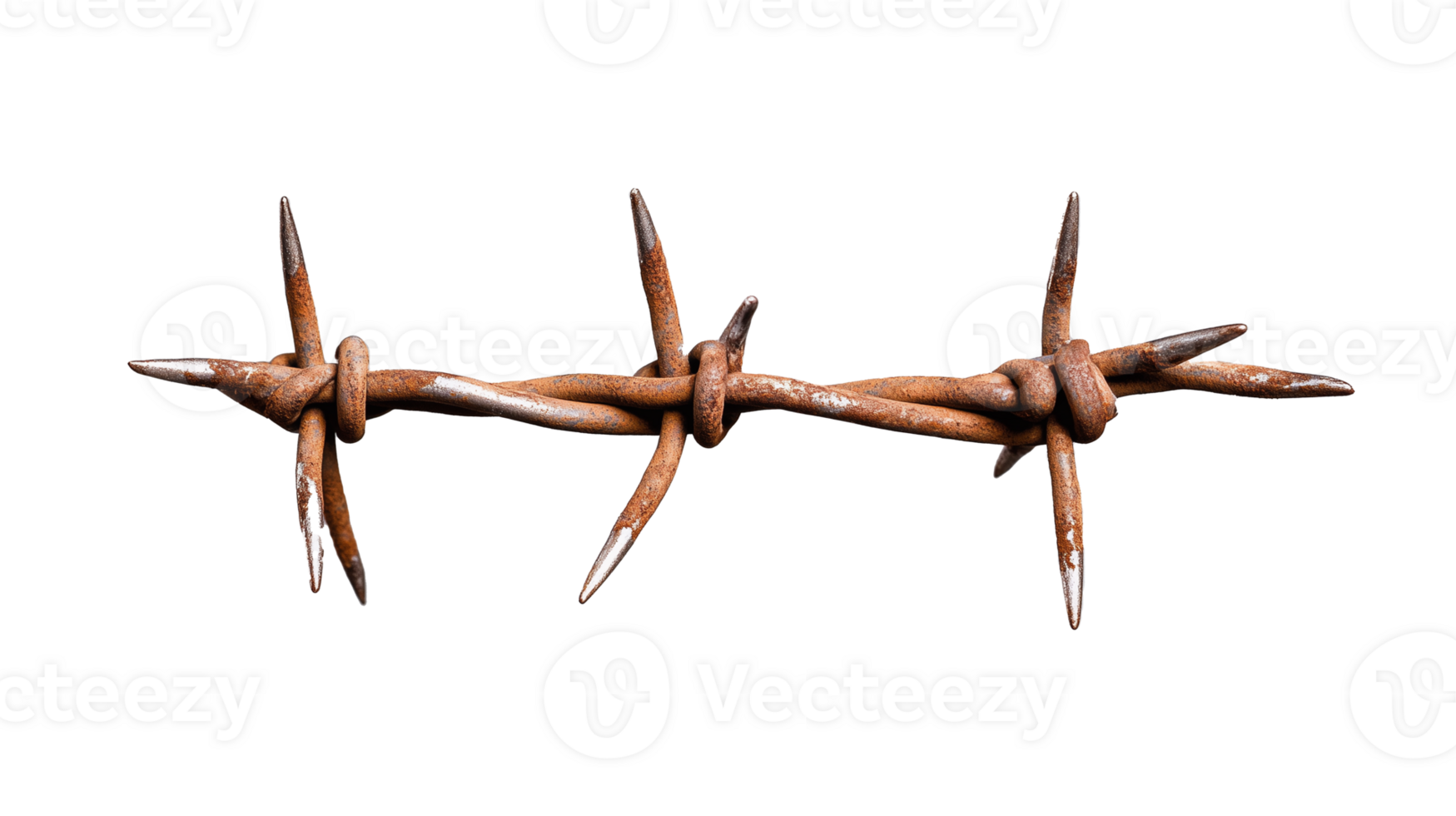 Rusty barbed wire isolated on transparent background png