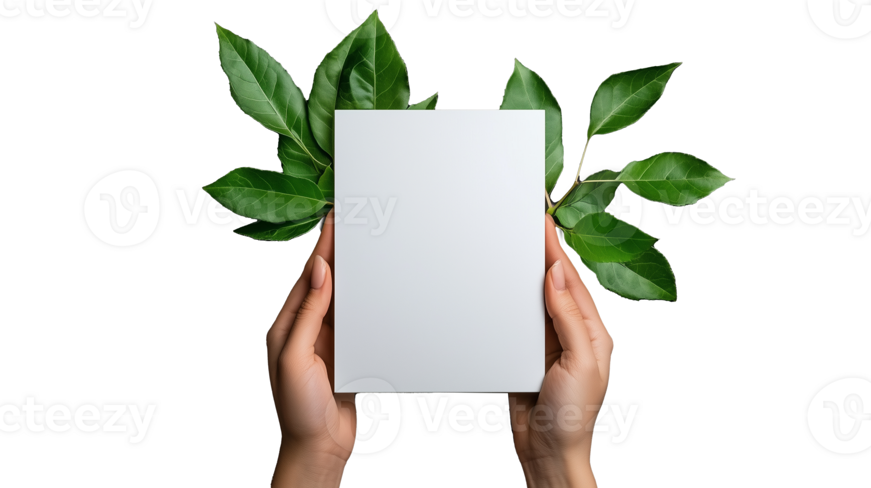 Hands holding blank paper with green leaves in background isolated on transparent background png