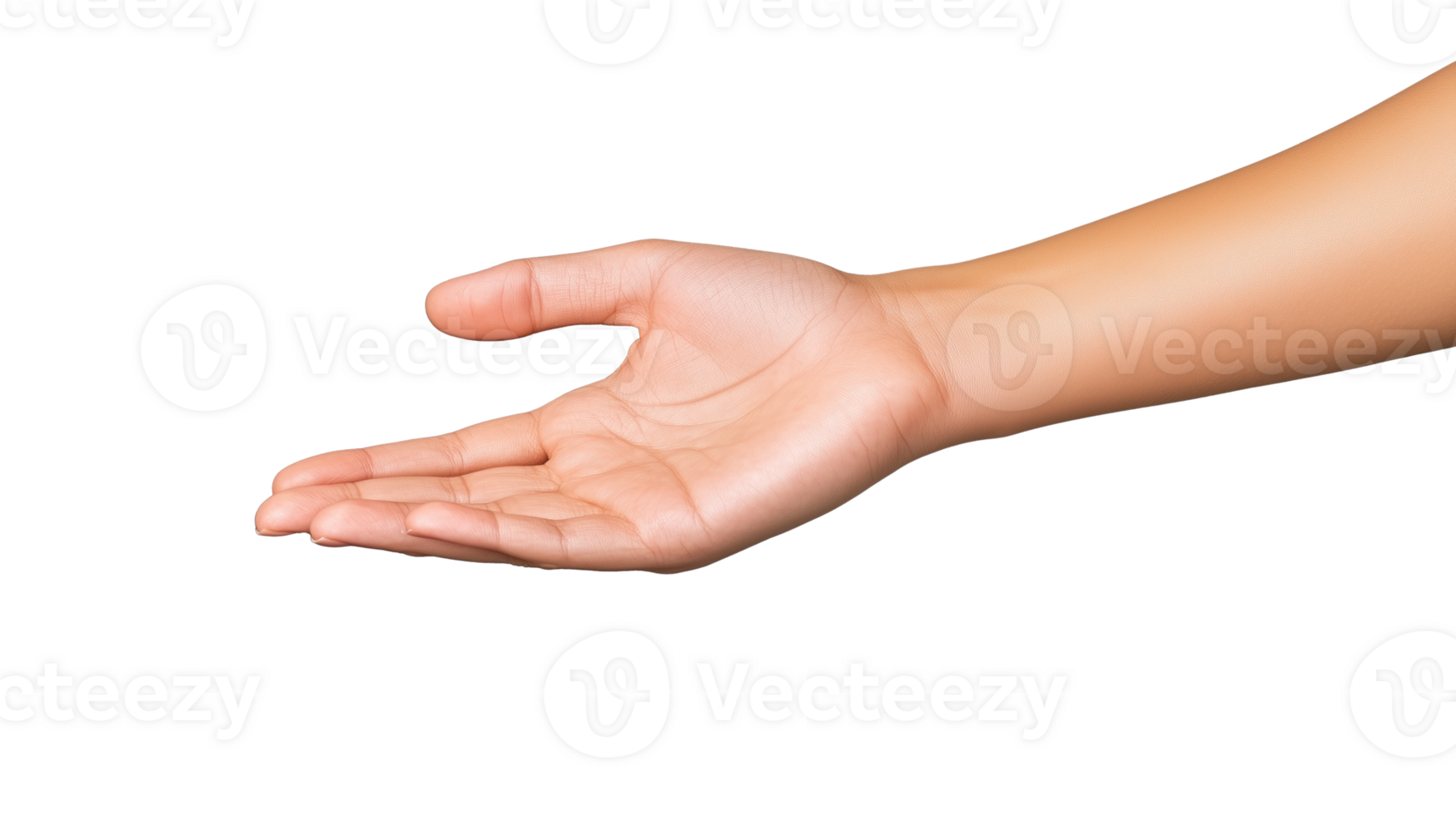 Outstretched hand palm up png