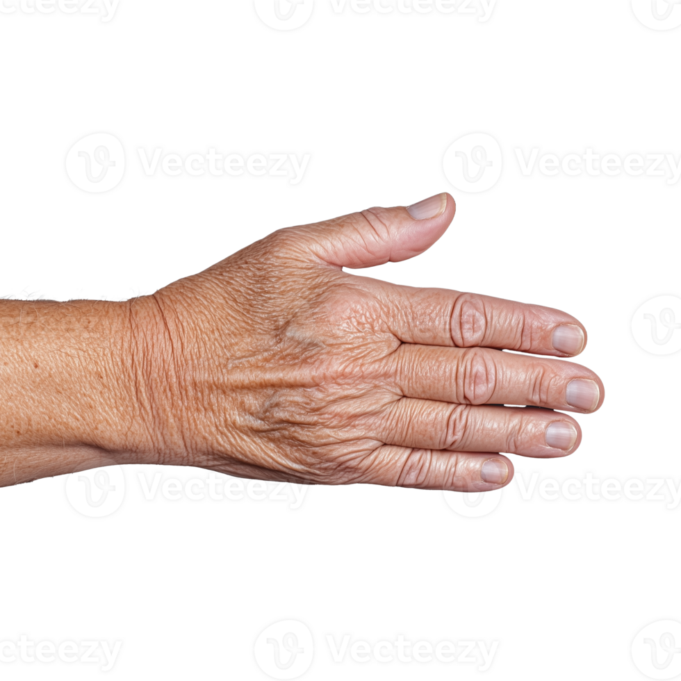 Outstretched hand of elderly person, transparent background png