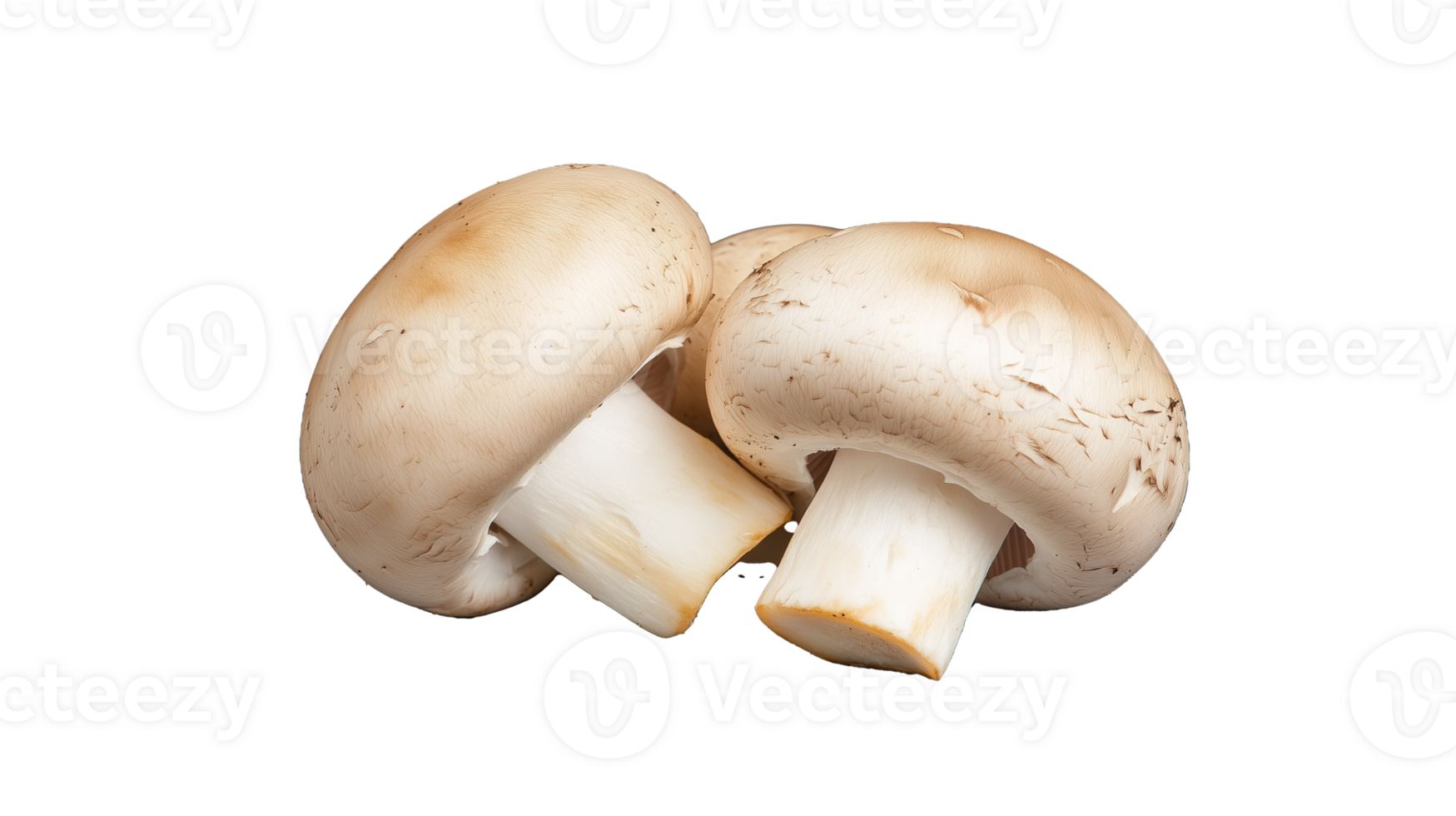 Pair of button mushrooms, transparent background png