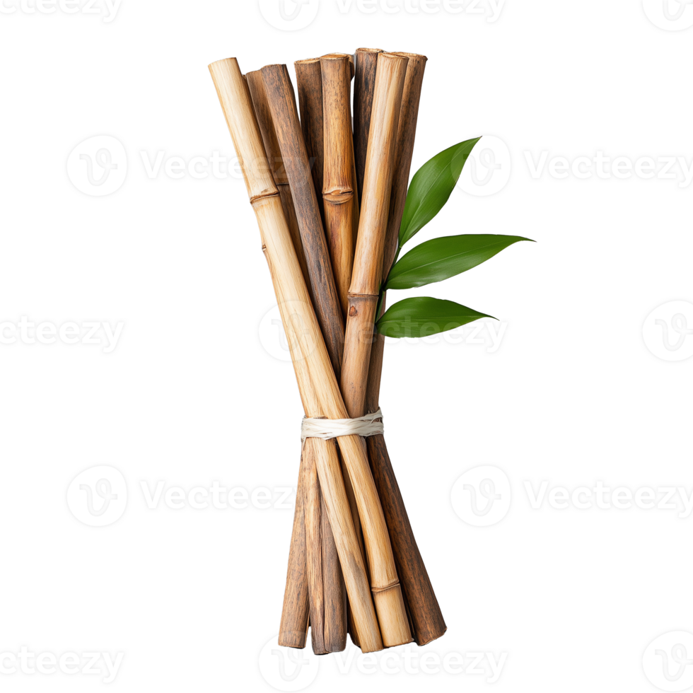 Bundle of bamboo stalks with leaf, transparent background png