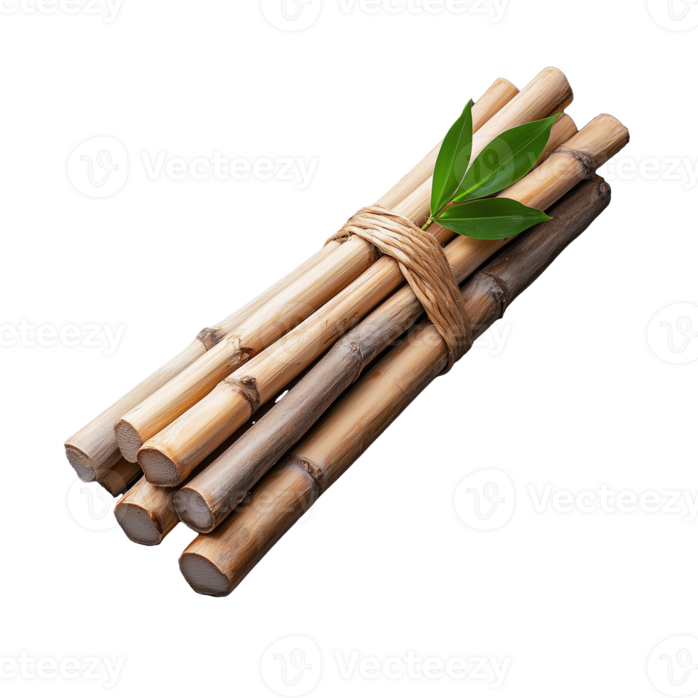 Group of tied bamboo sticks, transparent background png