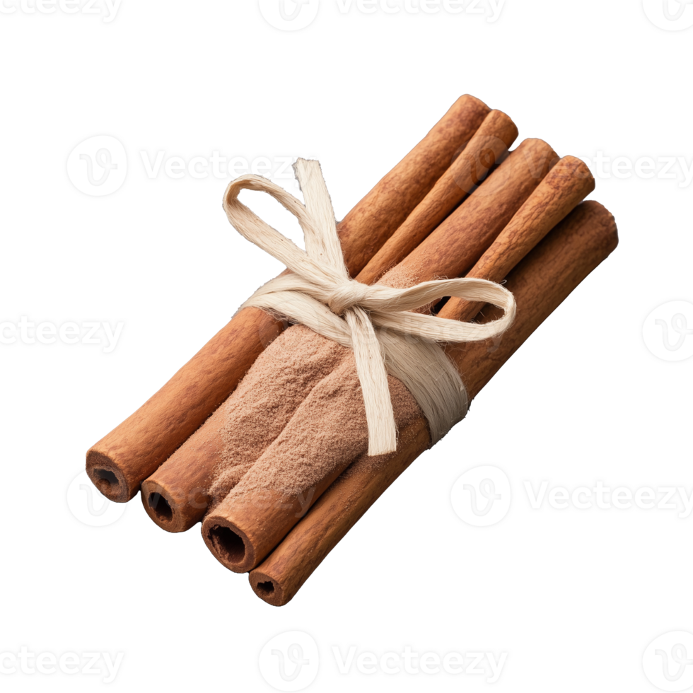Tied bundle of brown cinnamon sticks isolated on transparent background png