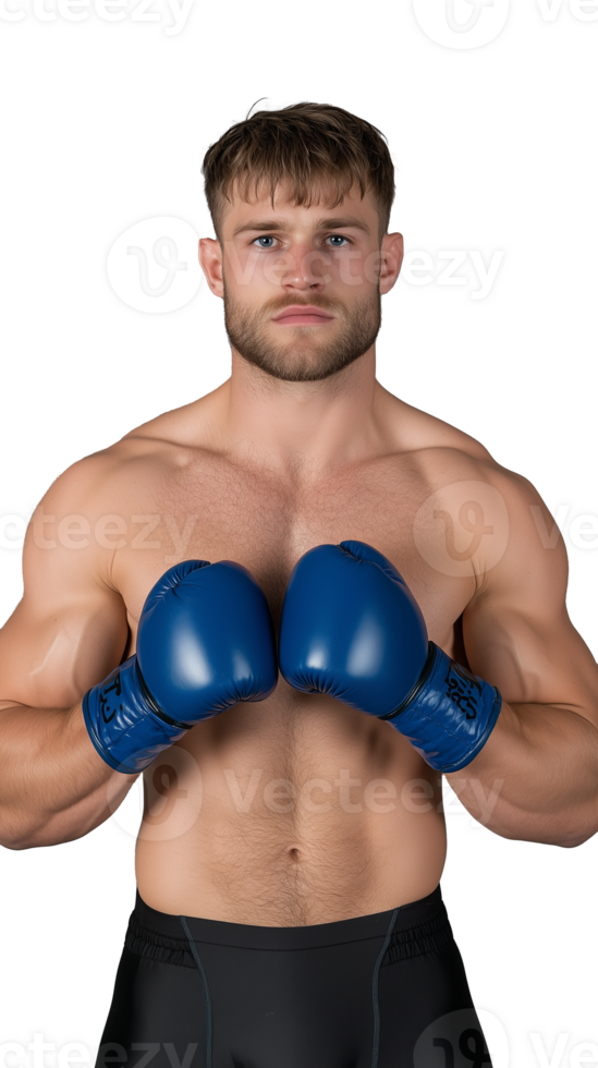 Boxer with blue gloves on transparent background png