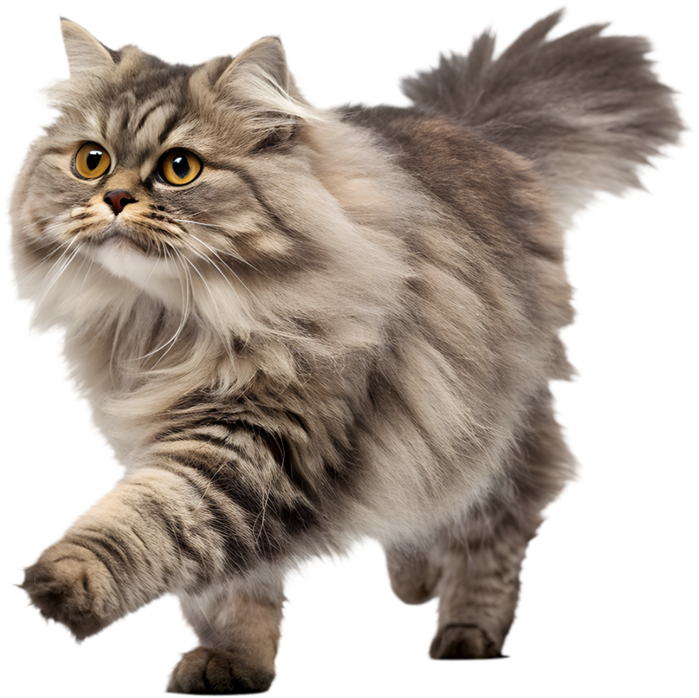 Realistic Running Cat Illusion Clipart for Fluid Motion Effects. . png