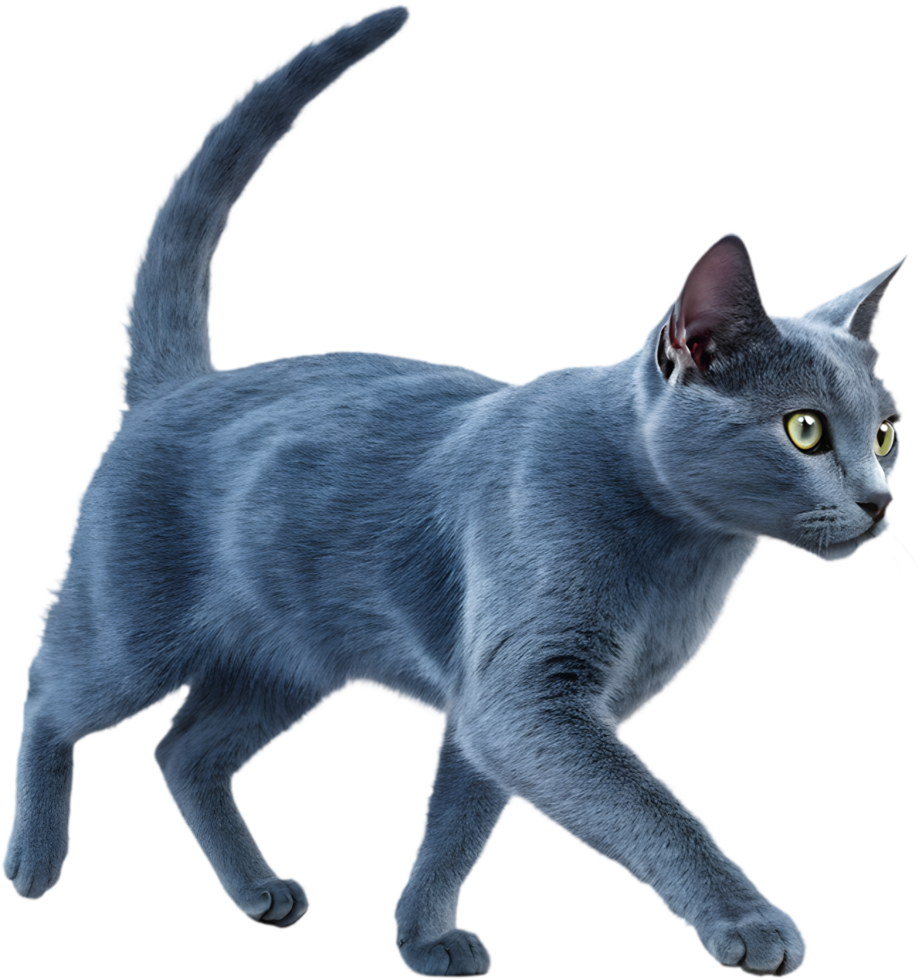Realistic Cat Animation, Running Cat Illusion Clipart Design. . png