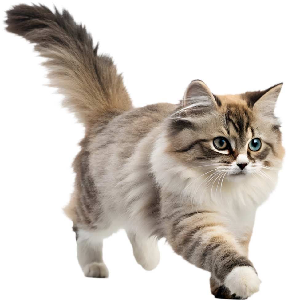 Enhance Motion Designs with Running Cat Illusion Clipart. . png