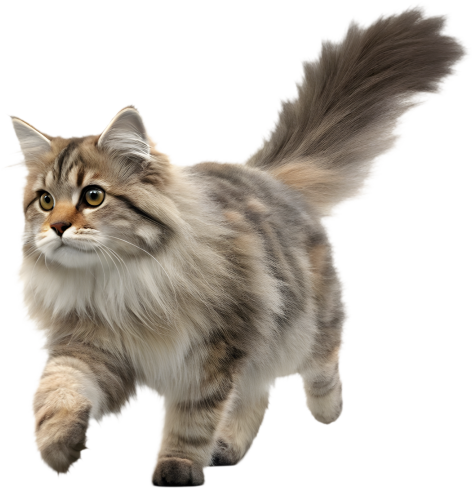 Realistic Running Cat Illusion for Animated Clipart Projects. . png
